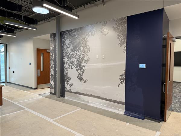 graphic wall